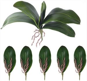 Artificial Orchid nplooj