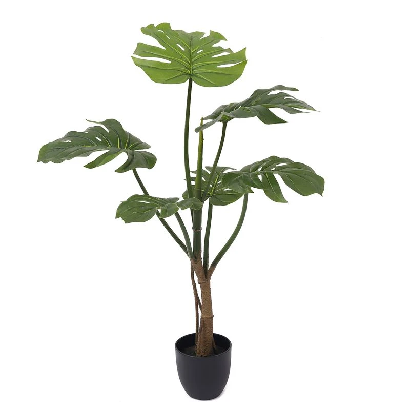 Qhov twg simulated monstera tsob ntoo siv